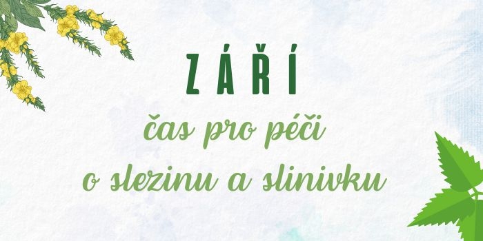TČM září - newsletter